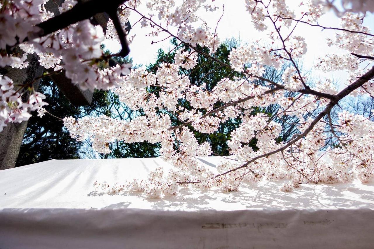 Tora Hotel Tokyo-Kitaueno 寅ホテル北上野 Eksteriør bilde